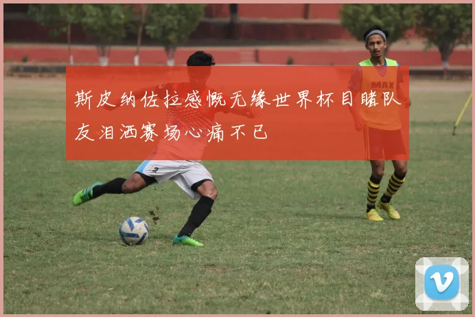 斯皮纳佐拉感慨无缘世界杯目睹队友泪洒赛场心痛不已
